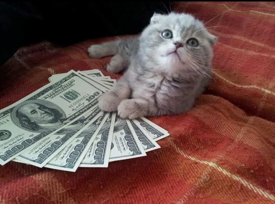 Картинка для настроения 