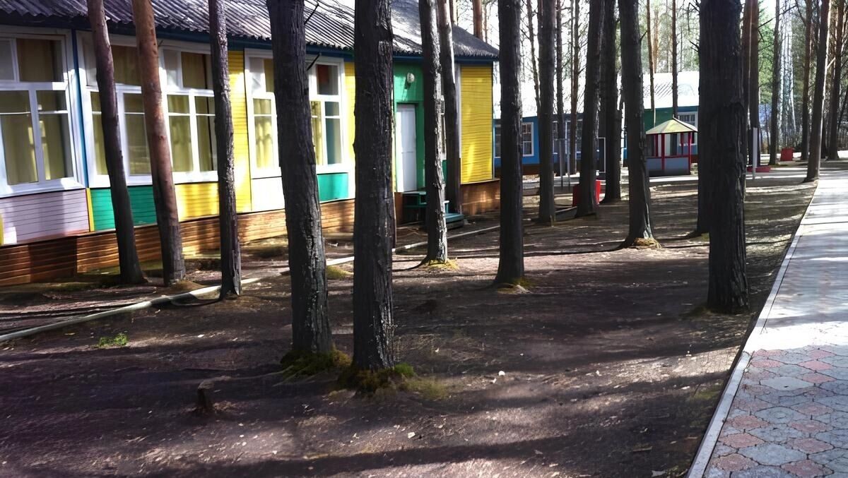     Источник: СК Красноярского края