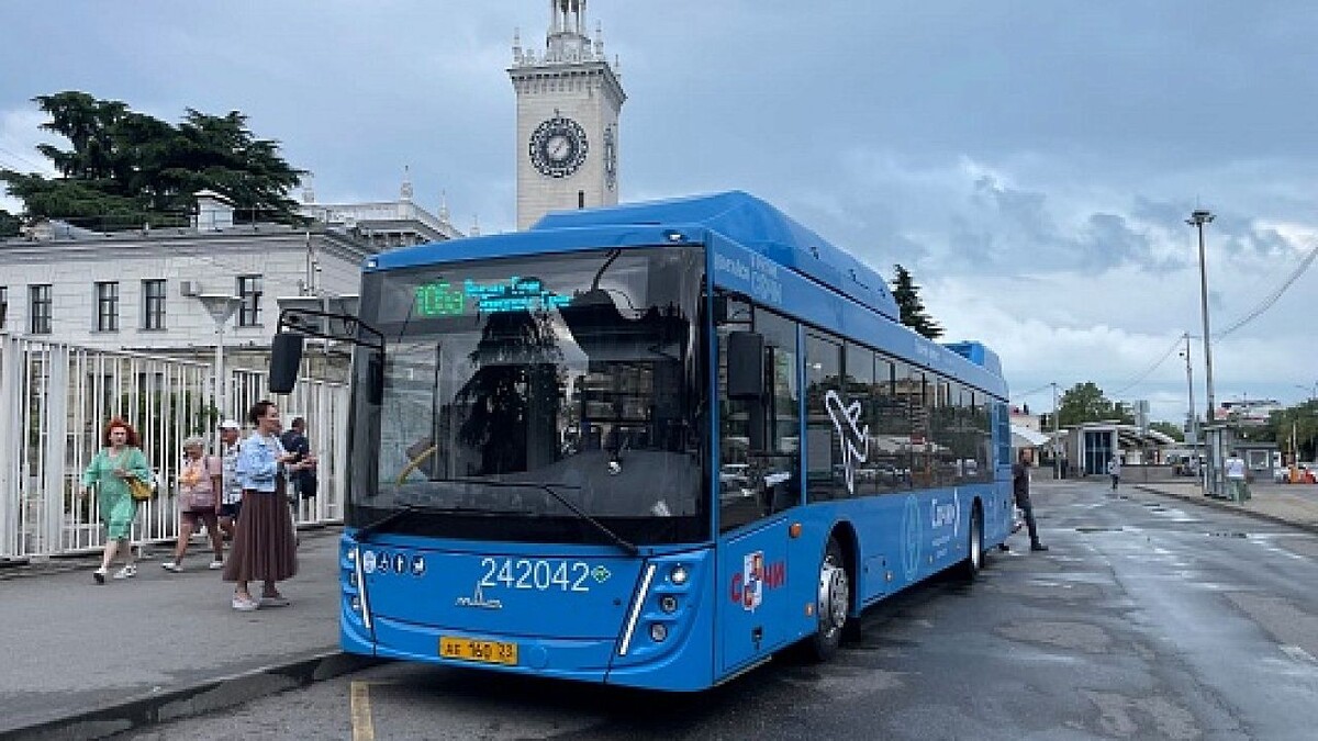    Фото: пресс-службы администрации Сочи