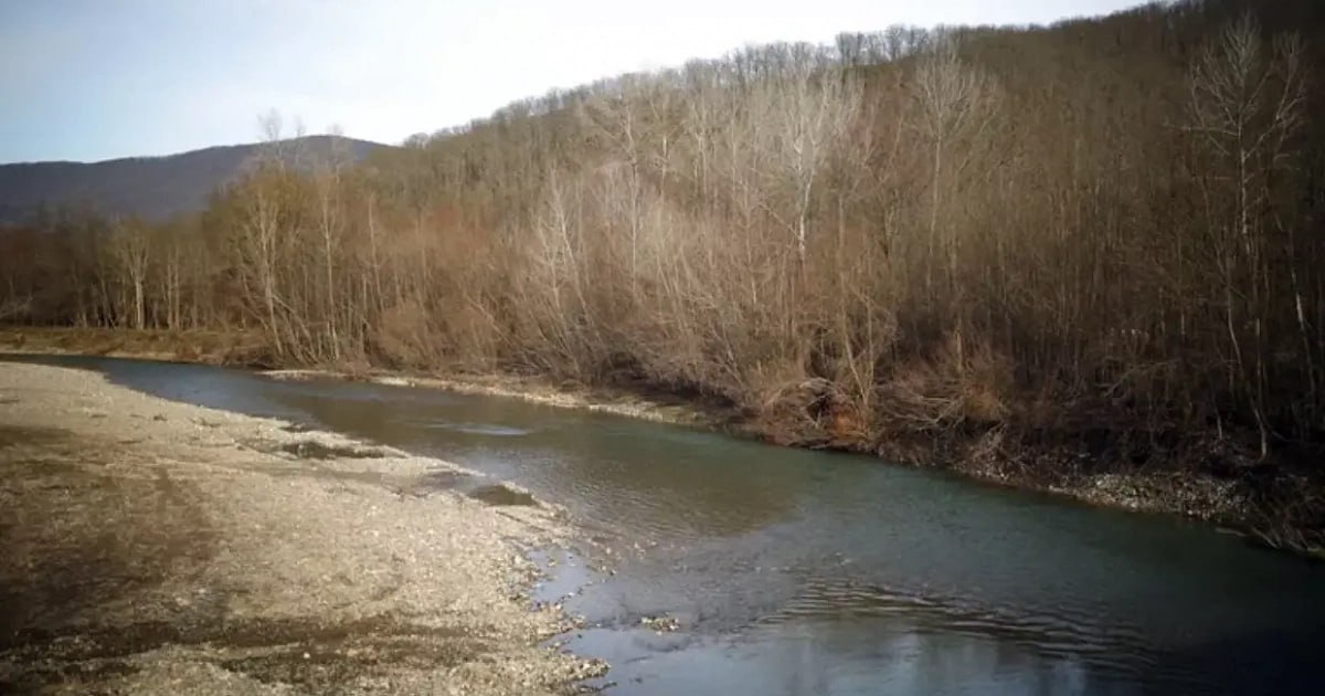 Фото: Виталий Тимкив / РИА Новости