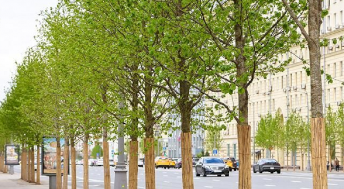    Фото: комплекс городского хозяйства Москвы