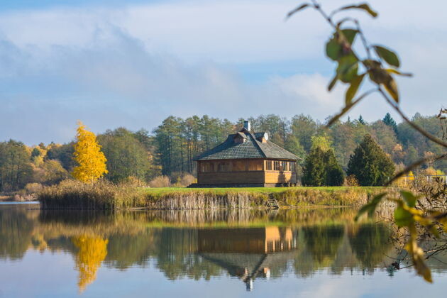 Беловежская пуща. Источник: https://tripse.ru/