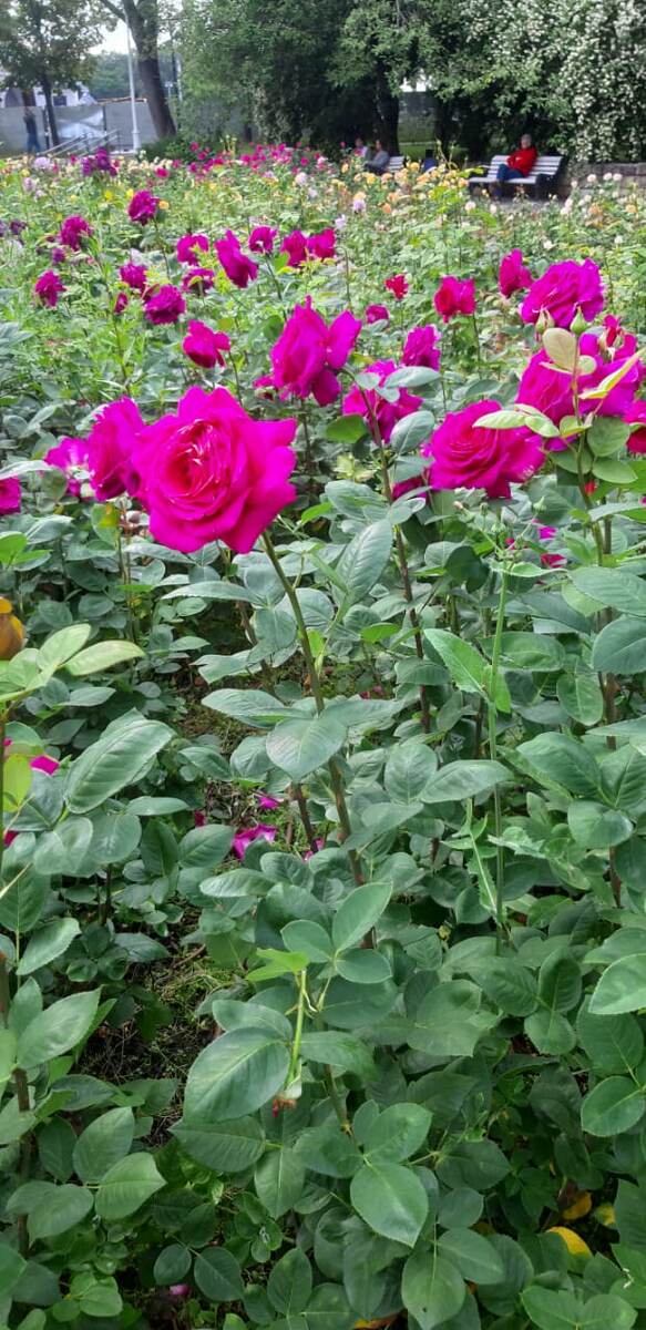 Цените каждое мгновение