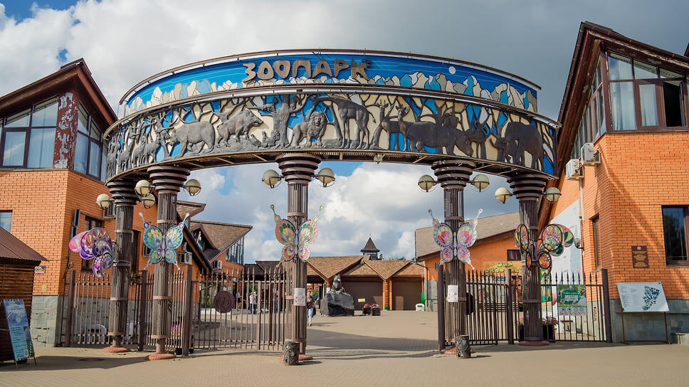 Фото: Мария Бакланова / Коммерсантъ