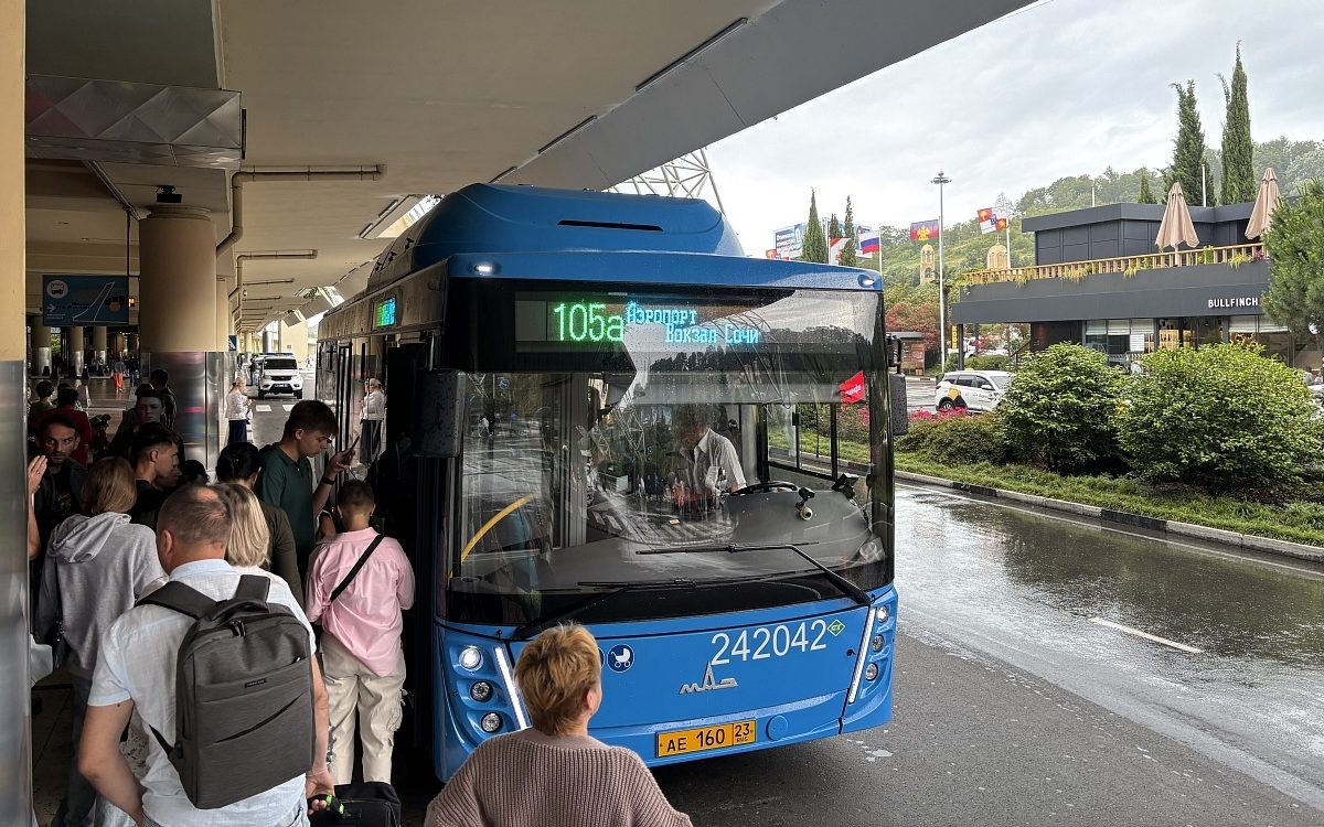    Фото: пресс-служба администрации города Сочи