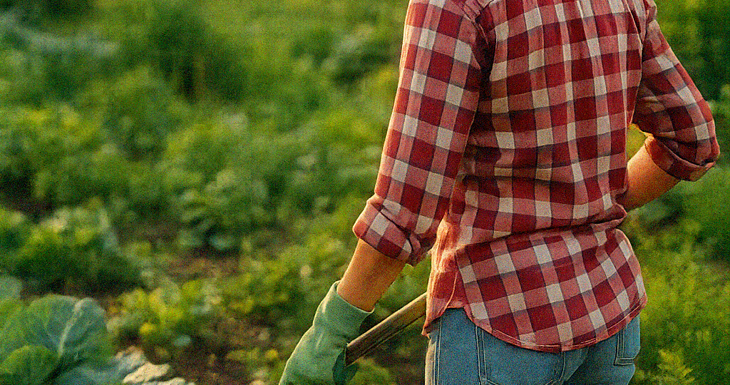Что нужно успеть сделать в саду в начале июля: календарь дачника
