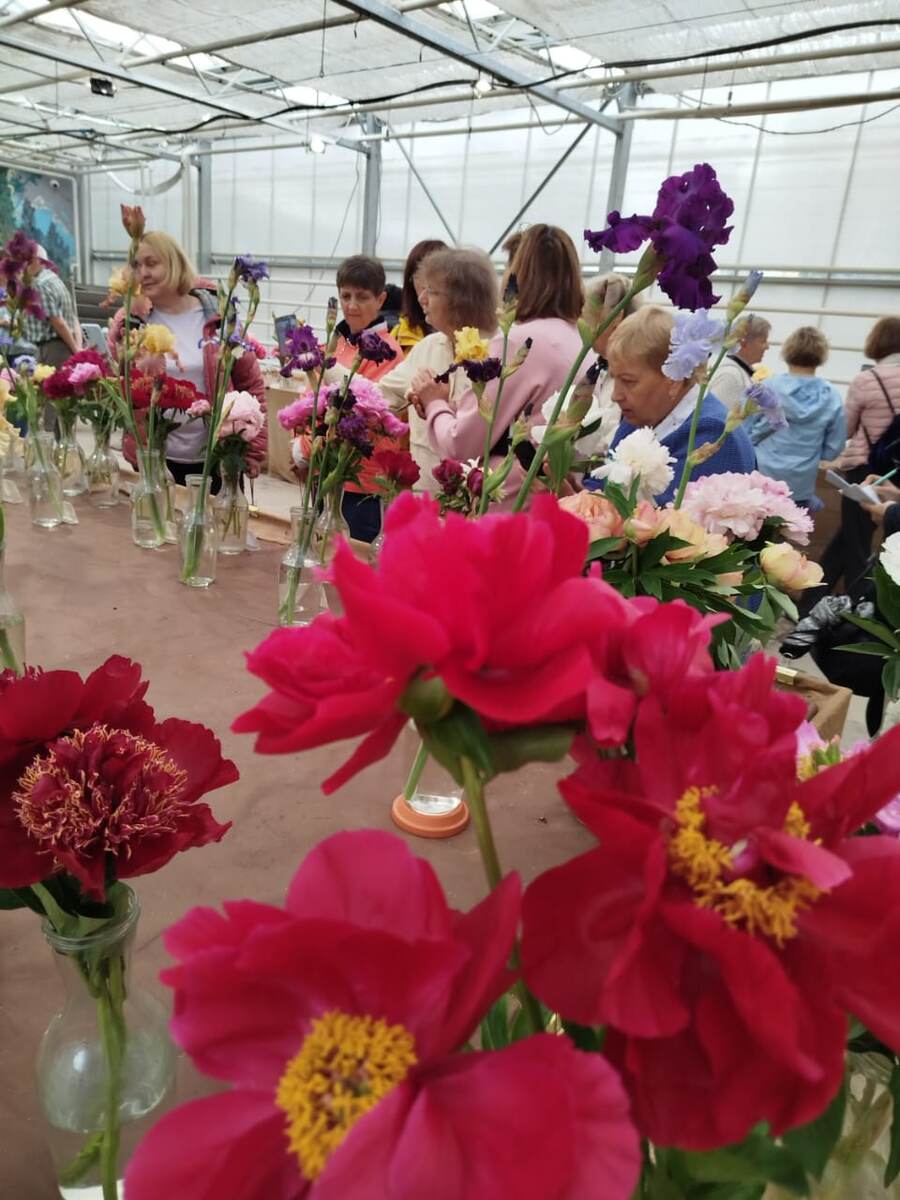 Выставка в Москве. Фото Елены Дроздовской