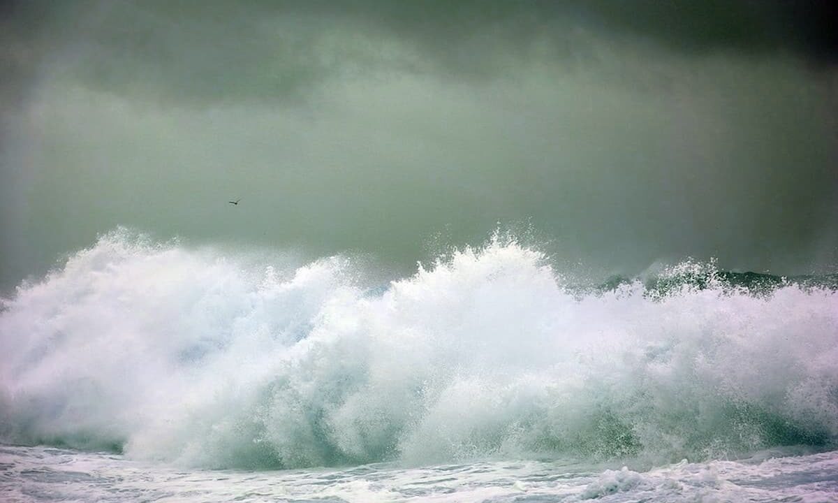    Фото pixabay.com