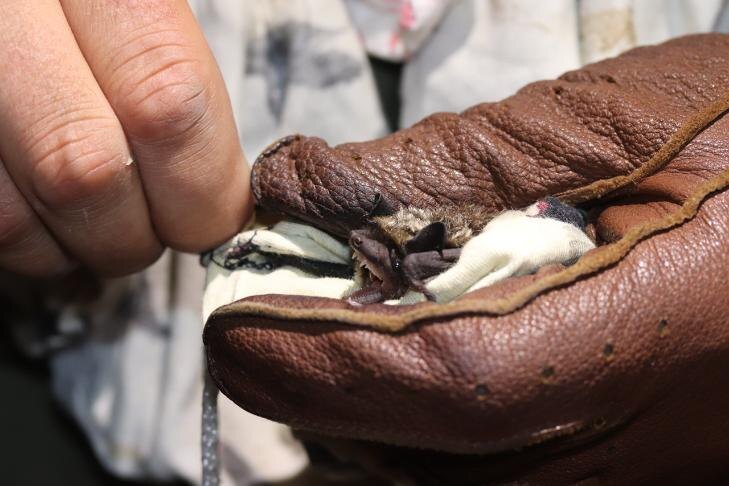    Фото - https://vk.com/wall22884732_6207