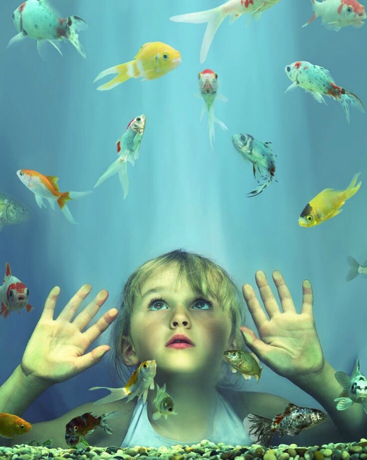 Яндекс картинки