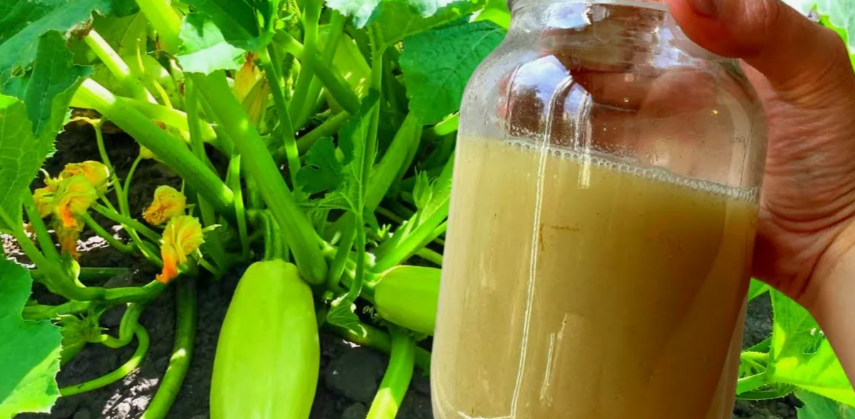 Молоко с йодом