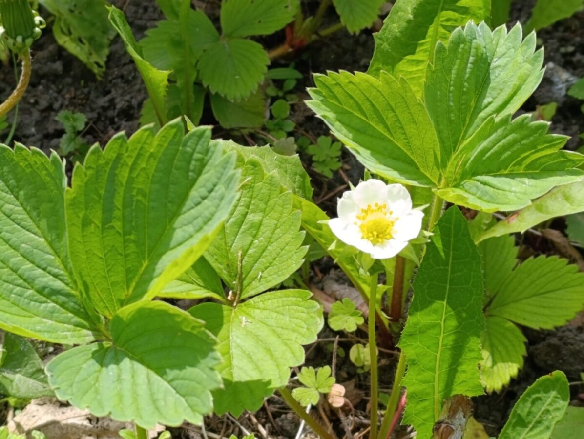    Фото: Светлана Соснина