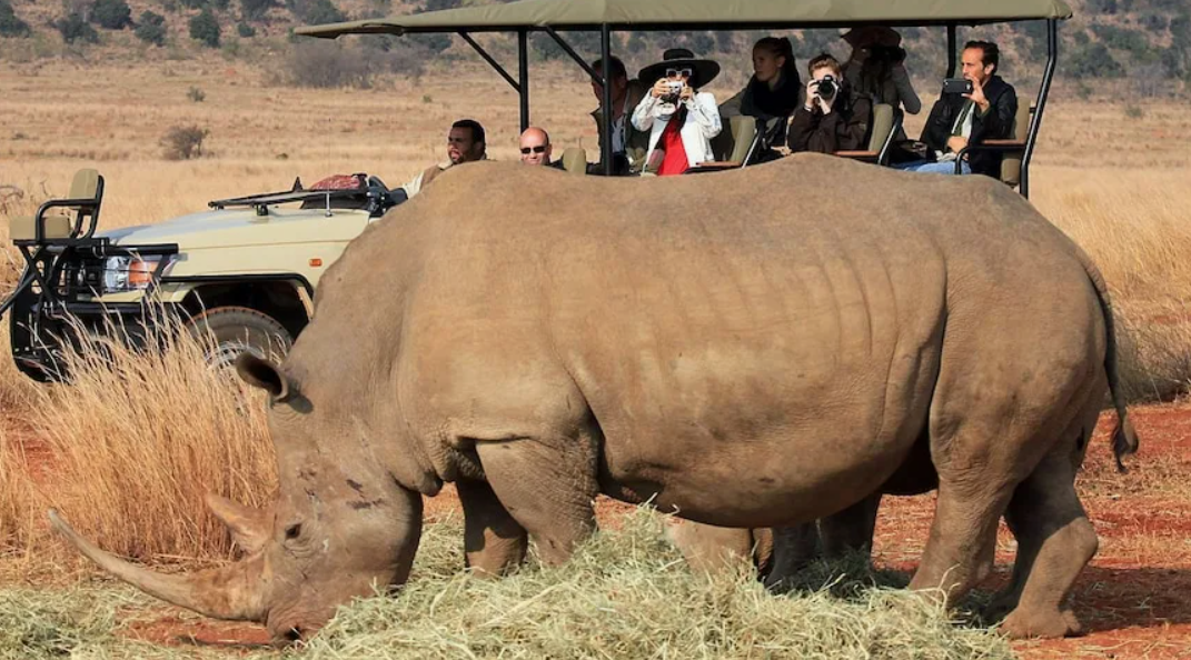 Из открытых источников 