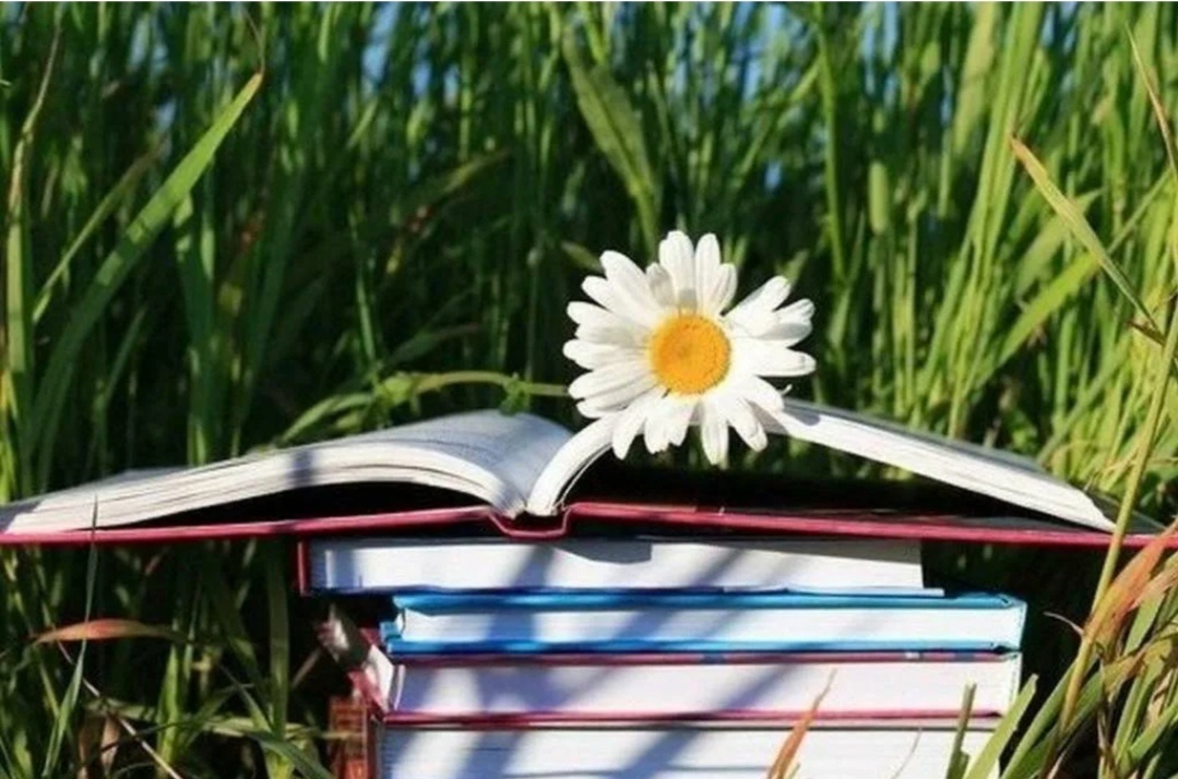 фото из интернета