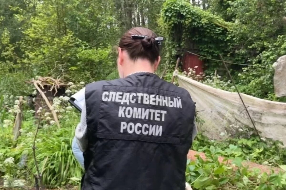    Проверка по факту гибели женщины из-за упавшего дерева проводится в Пскове