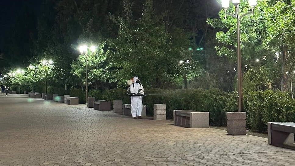 Фото: пресс-служба администрации города Ростова-на-Дону