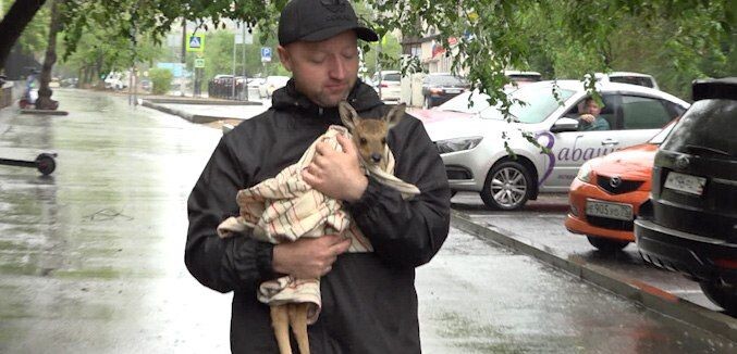    Фото: ГТРК "Чита"