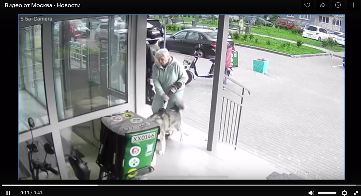 Кадр из видео в ВК "Москва Новости".