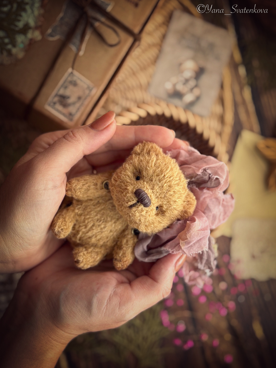 ЧуднОй мишутка