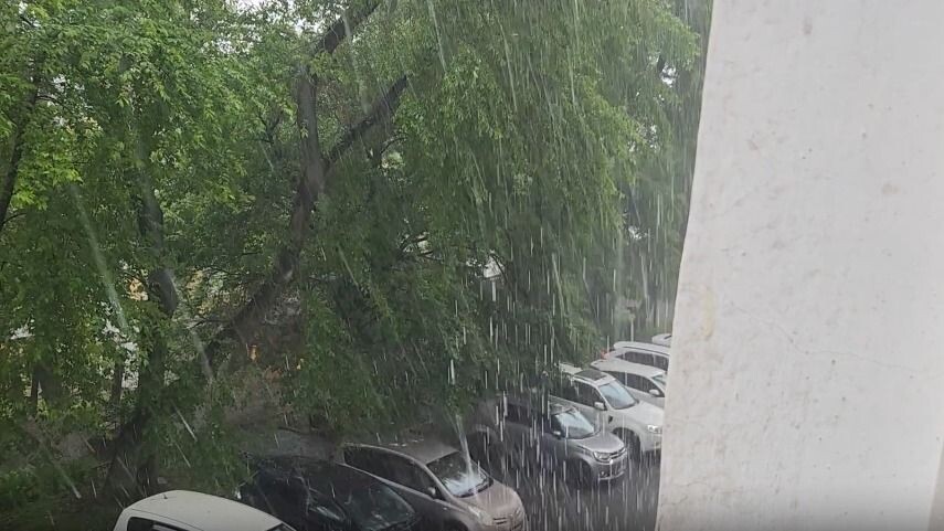     Источник: vostokmedia.com