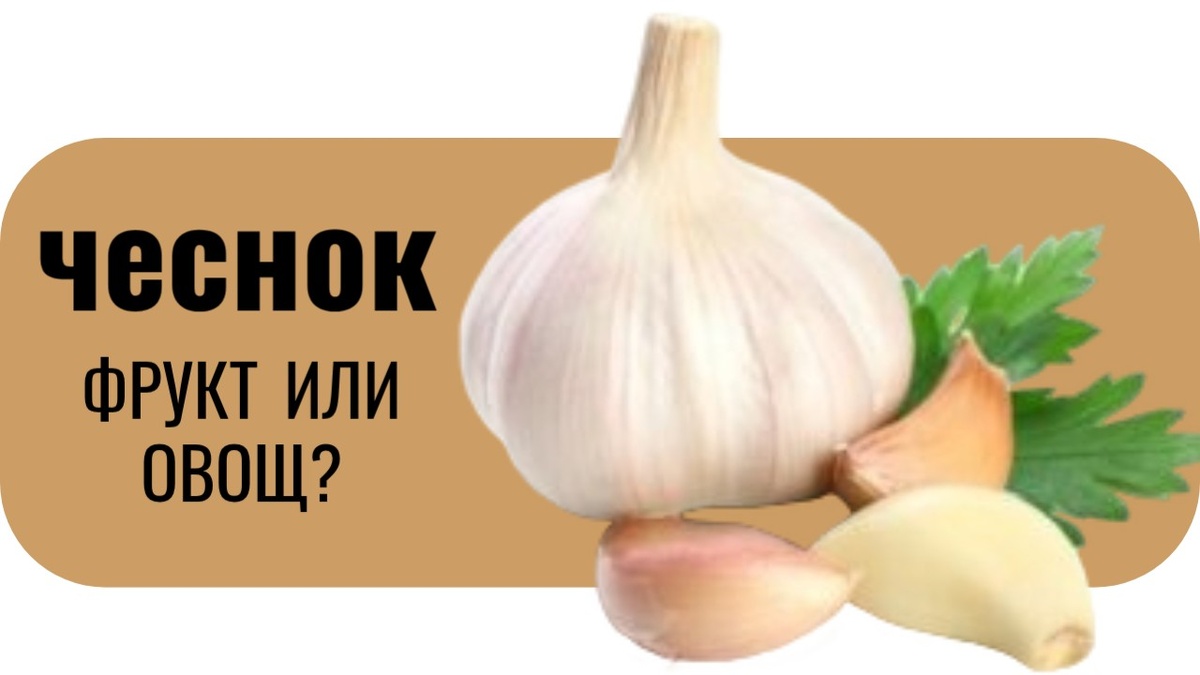 Чеснок