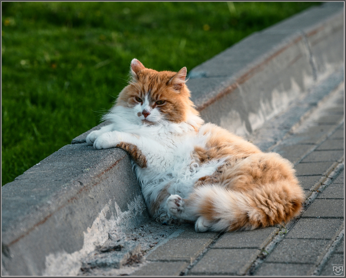 Калининградская область. Фото: Михаил Рябинин