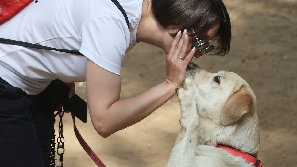 Фото: Роман Яровицын / Коммерсантъ