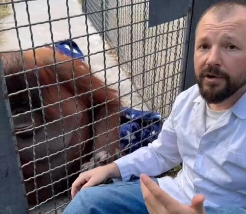    Василий Писковой и орангутан Дана