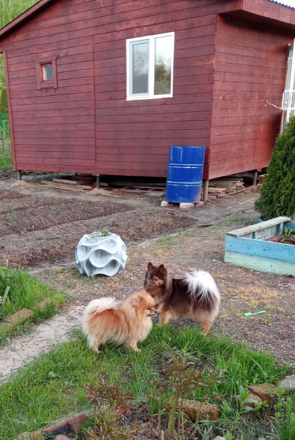 Разница в росте очевидна