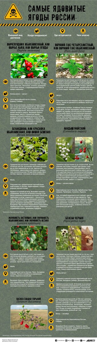    Нажмите для увеличения