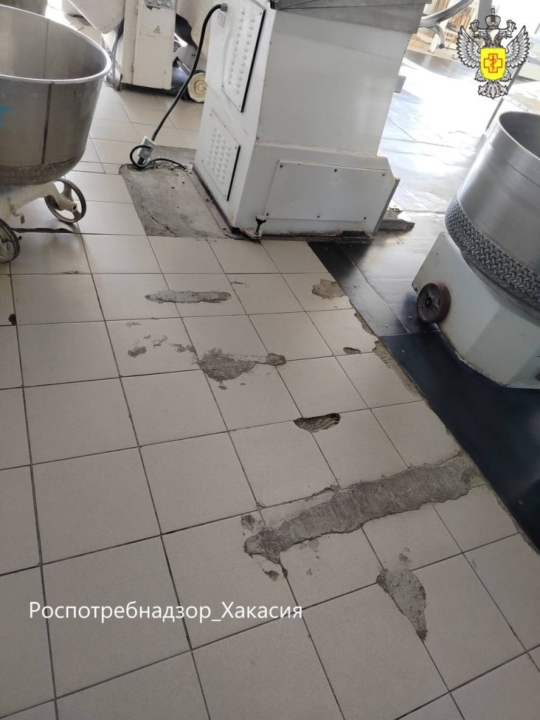    Фото: Управление Роспотребнадзора по РХ Остап Мусаев