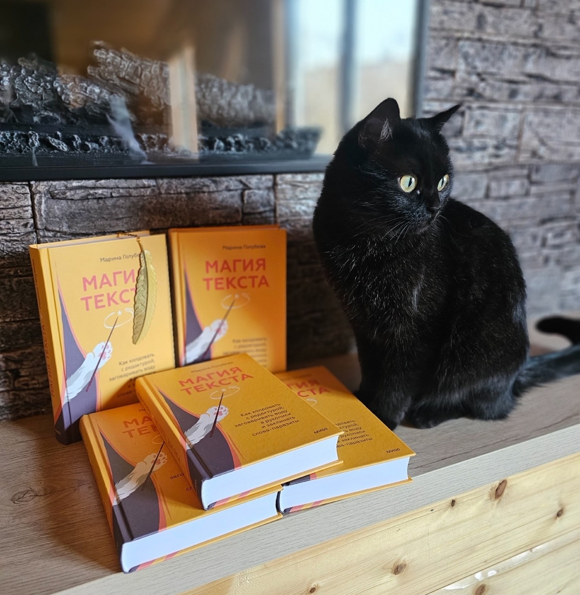 Кошка Мара рекламирует мою книгу. Мара - это кошка дочери. Моя Ириска ленится. Её можно увидеть ниже.