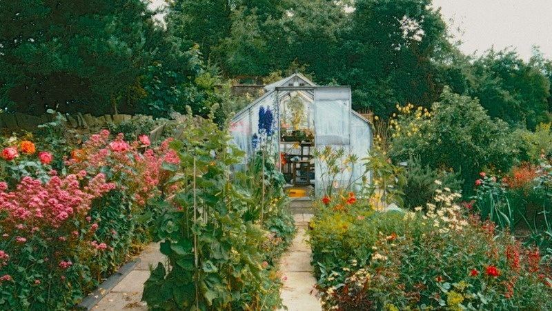      Фото: @anniespratt / unsplash.com