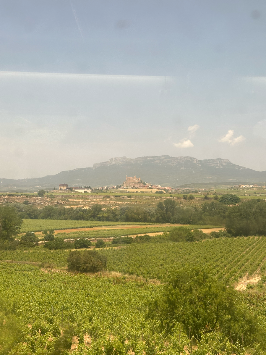 Вид из поезда по пути в Логроньо