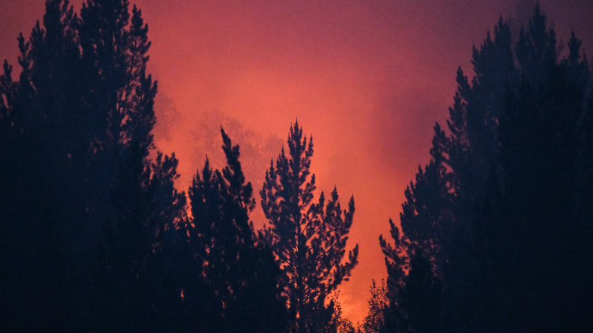    Фото: © РИА Новости/Евгений Епанчинцев; 5-tv.ru