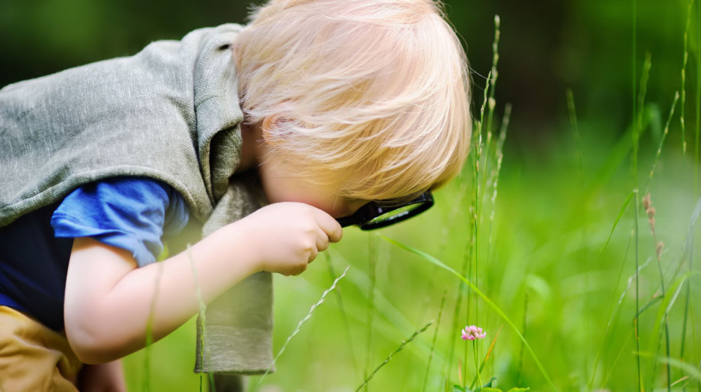    Кризис любознательности