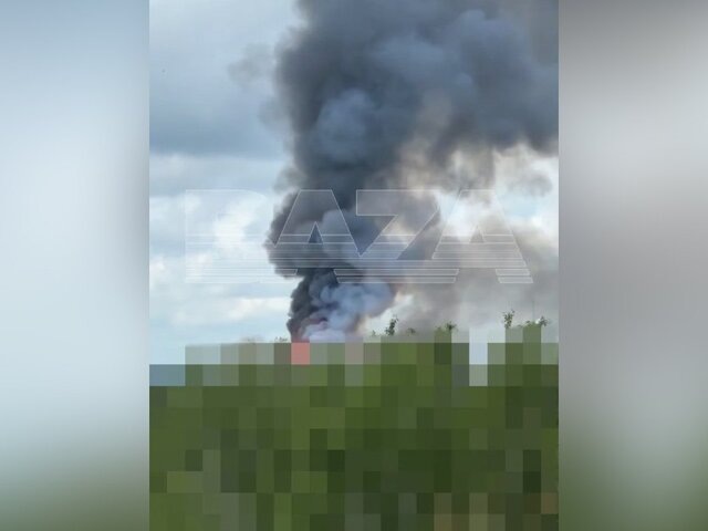    Фото: телеграм-канал Baza