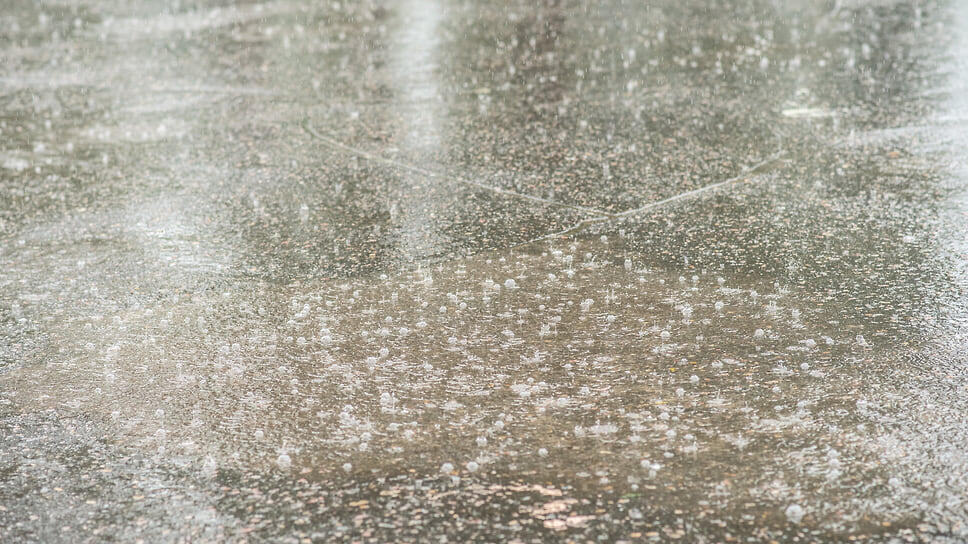 Фото: Игорь Елисеев / Коммерсантъ