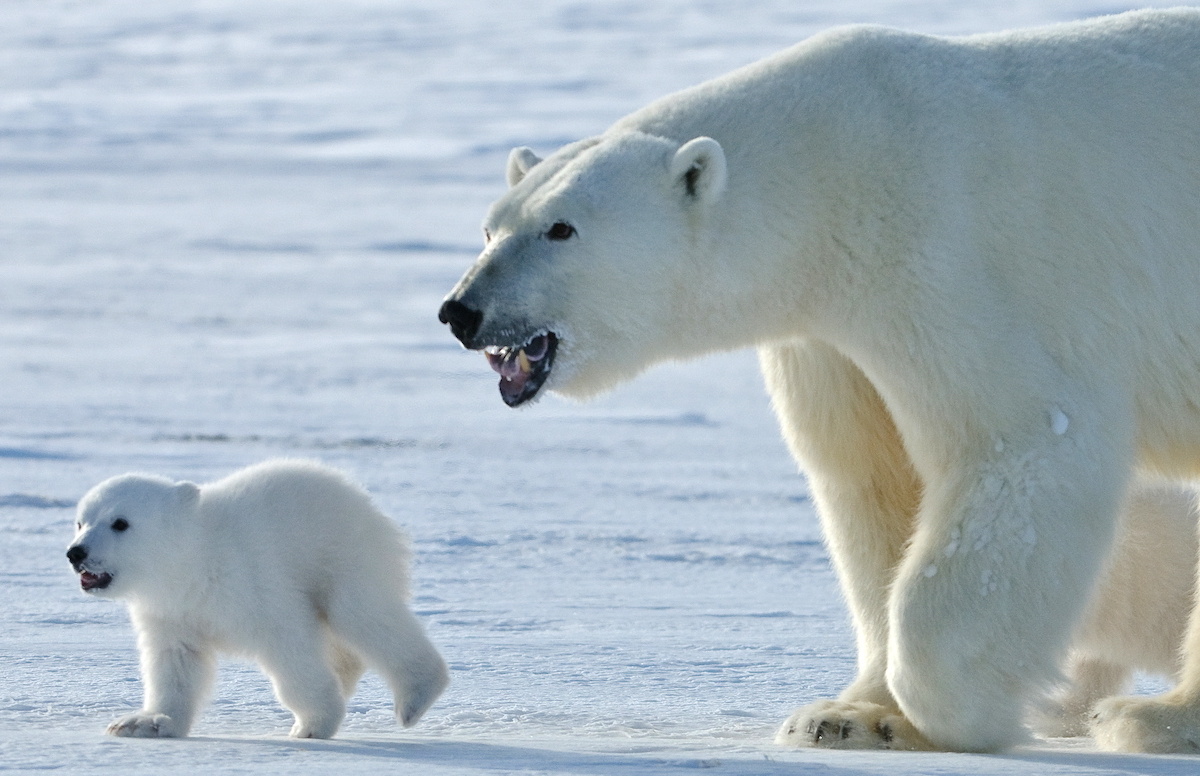 Фото: Сергей Горшков / GeoPhoto
