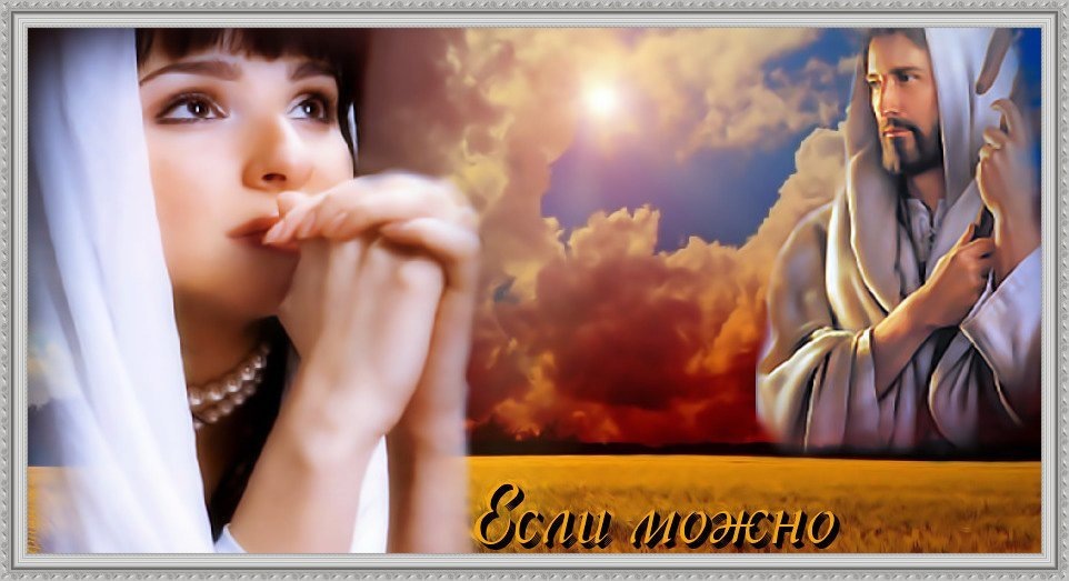 коллаж автора