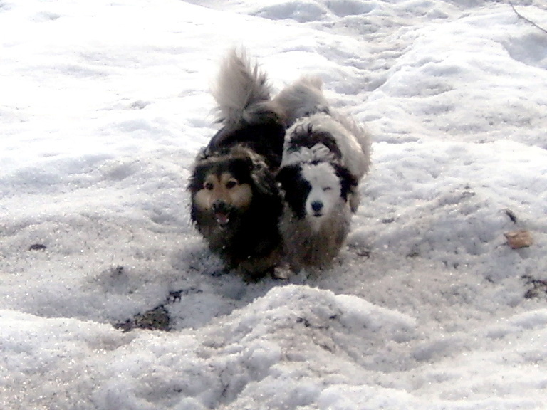 Генрих и Жуля. Фото из домашнего архива.