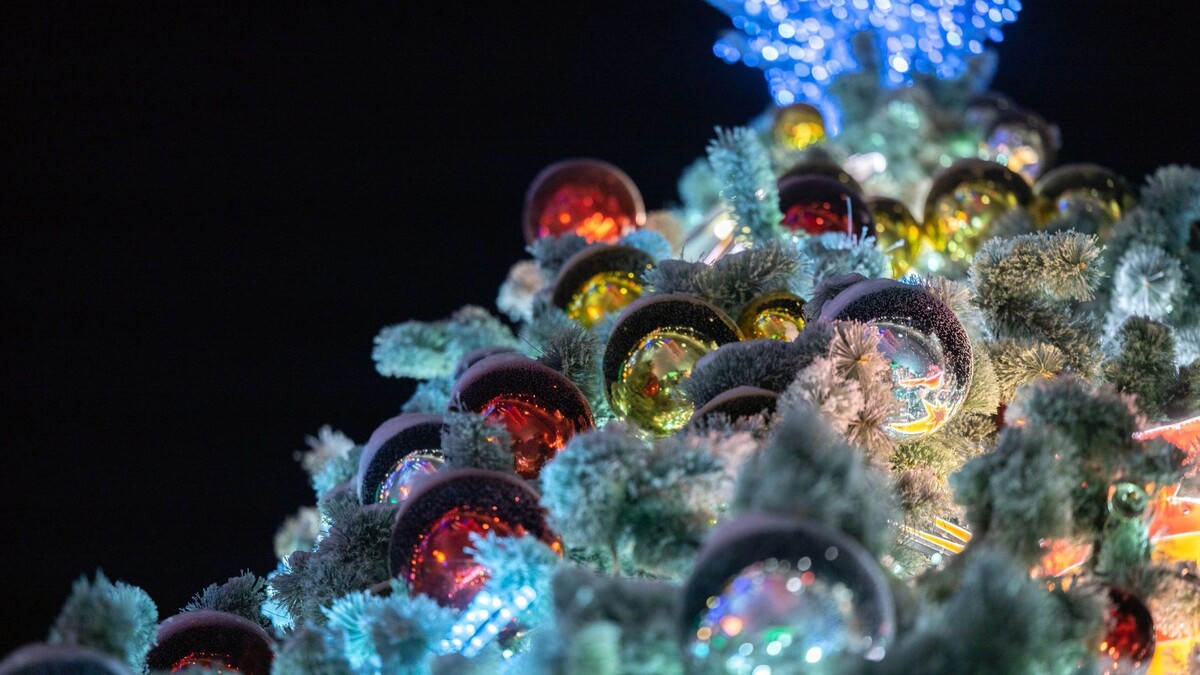    Фото: Федор Воронов / «Ямал-Медиа»