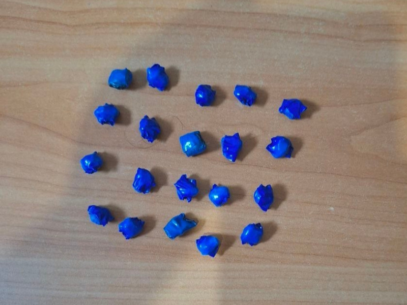 Фото: пресс-служба ГУ МВД России по Челябинской области