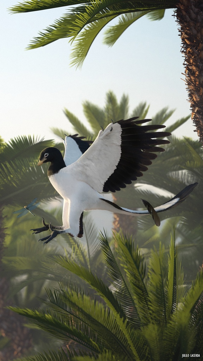 Archaeopteryx от Julio Lacerda