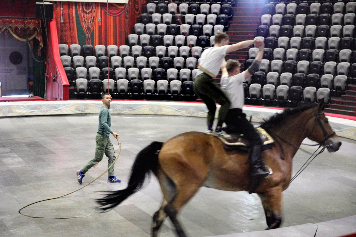 Конный номер под управлением Андрея Астафьева, репетиция в Казанском цирке, фото Казанский цирк