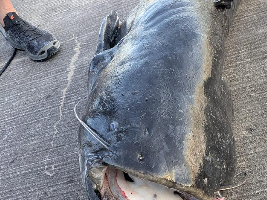 Фото: inFranken.de