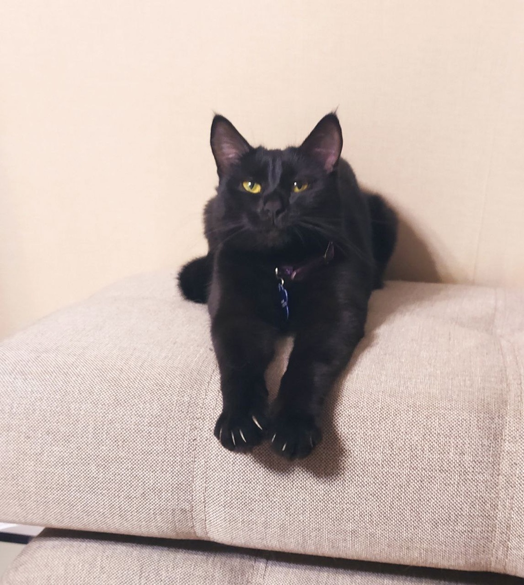 Мой Бурменыш😄