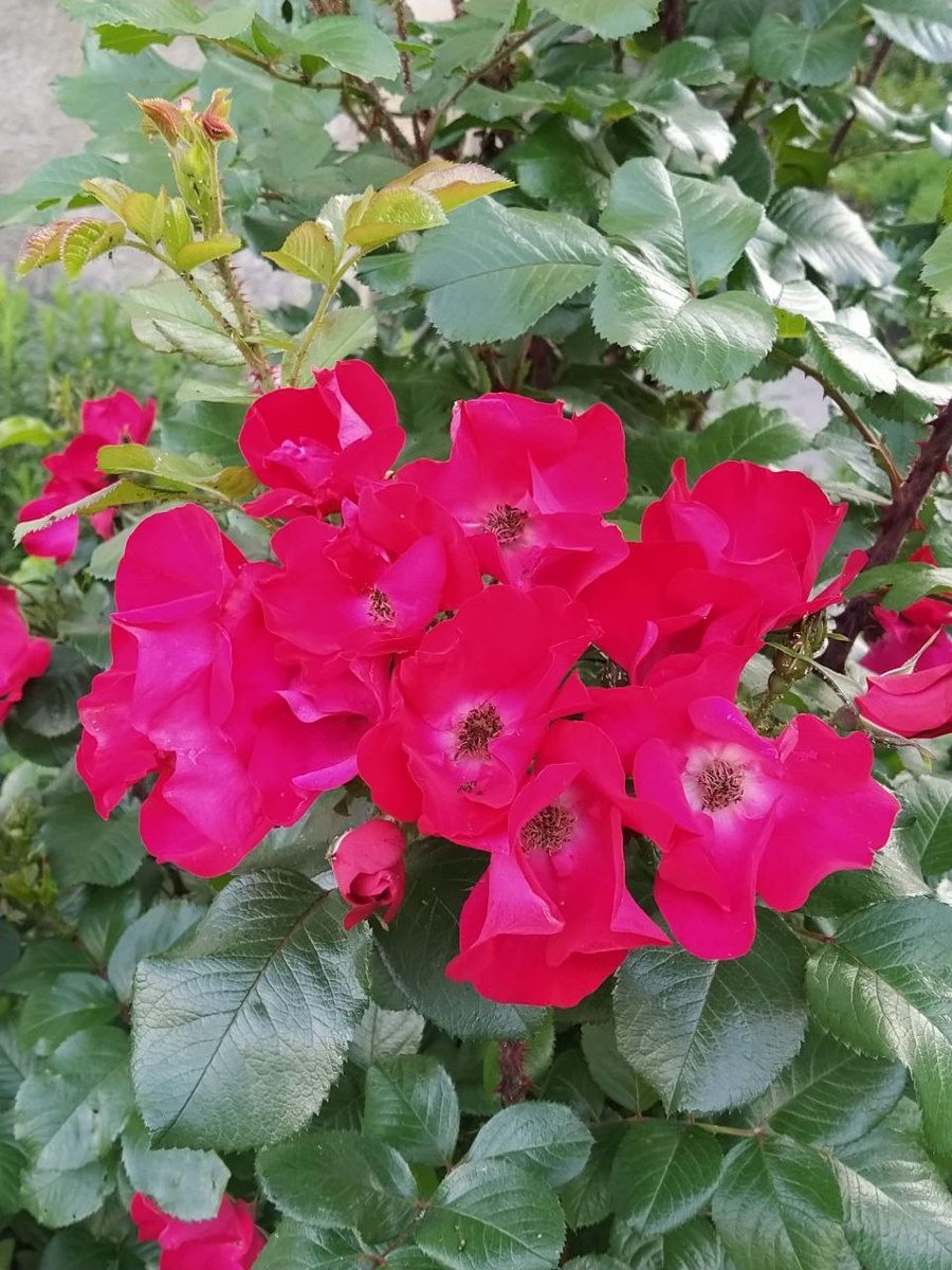 Вот такая красота рядом с офисом