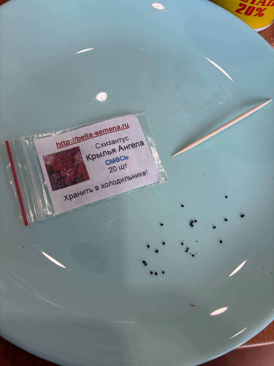 День посева