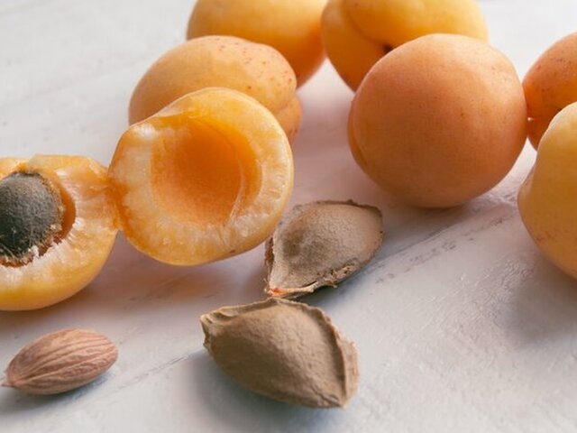    Фото: 123RF/sergey18m